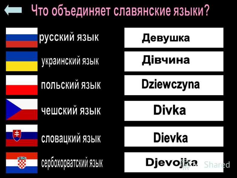Государственные языки польши - | статьи по туризму от votpusk.ru