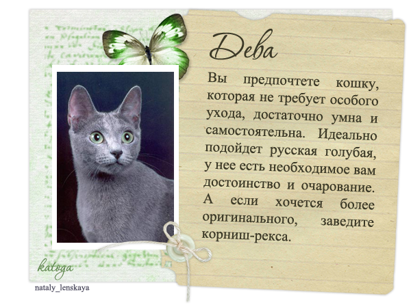 Гороскоп кошек