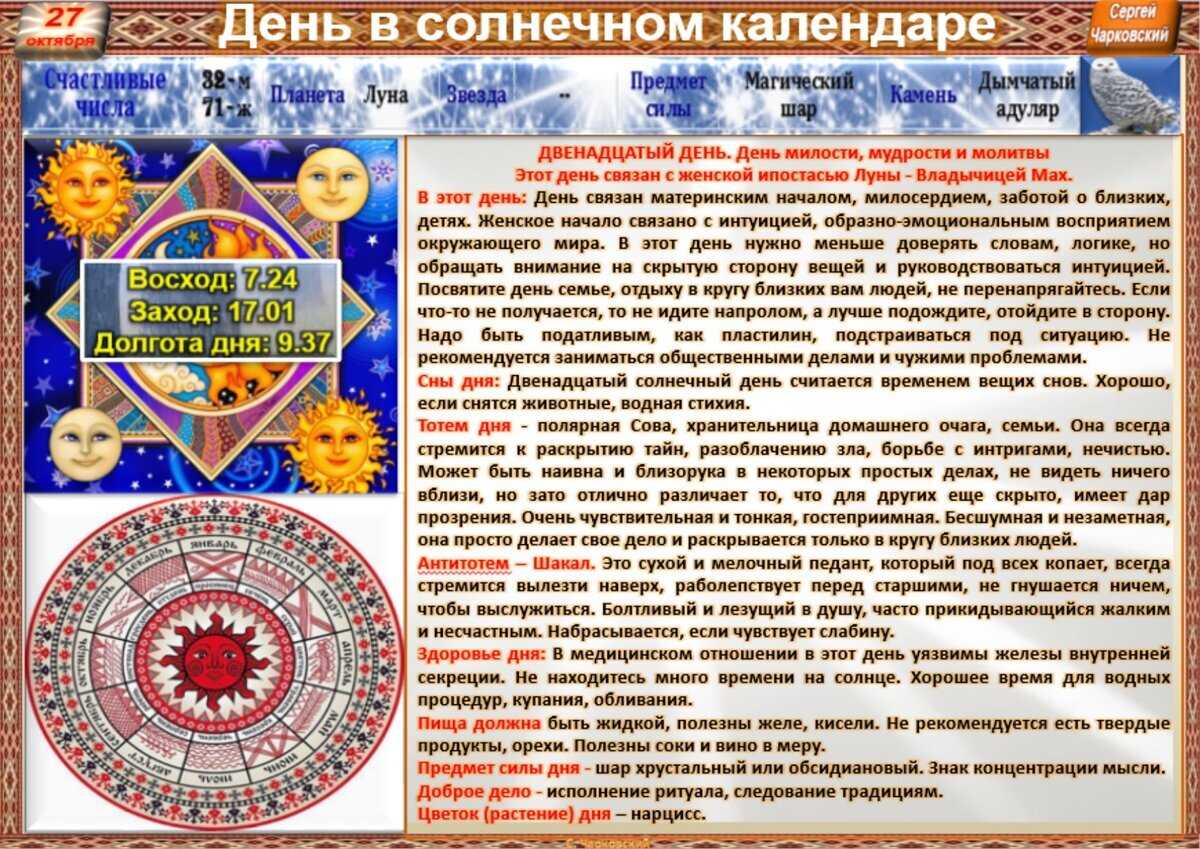 Дятел: все самое интересное о повадках, образе жизни, внешнем виде