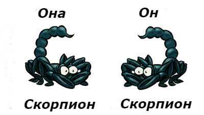 Ребенок-дева: характерные черты и особенности воспитания