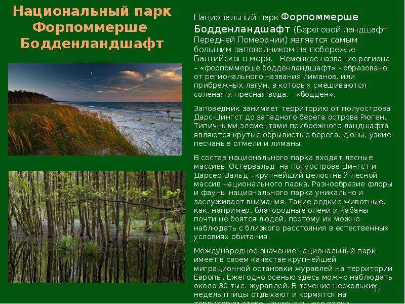 Грушина т.п., соловьев м.с.  природа германии: национальные и природные парки