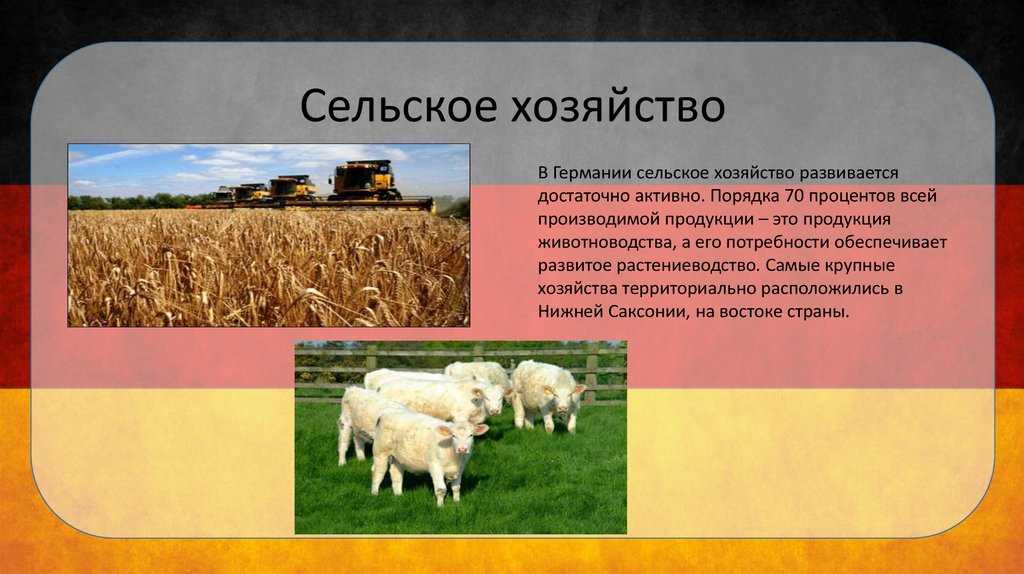 Особенности и характеристика промышленности Германии Наиболее значимые промышленные регионы и отрасли Германии Легкая и пищевая промышленность ФРГ Немецкое автомобилестроение и черная металлургия