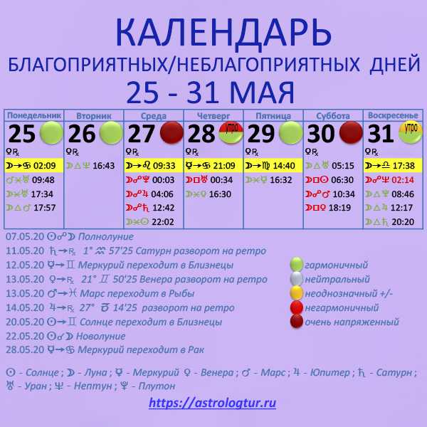 Восточный гороскоп на 2022 год