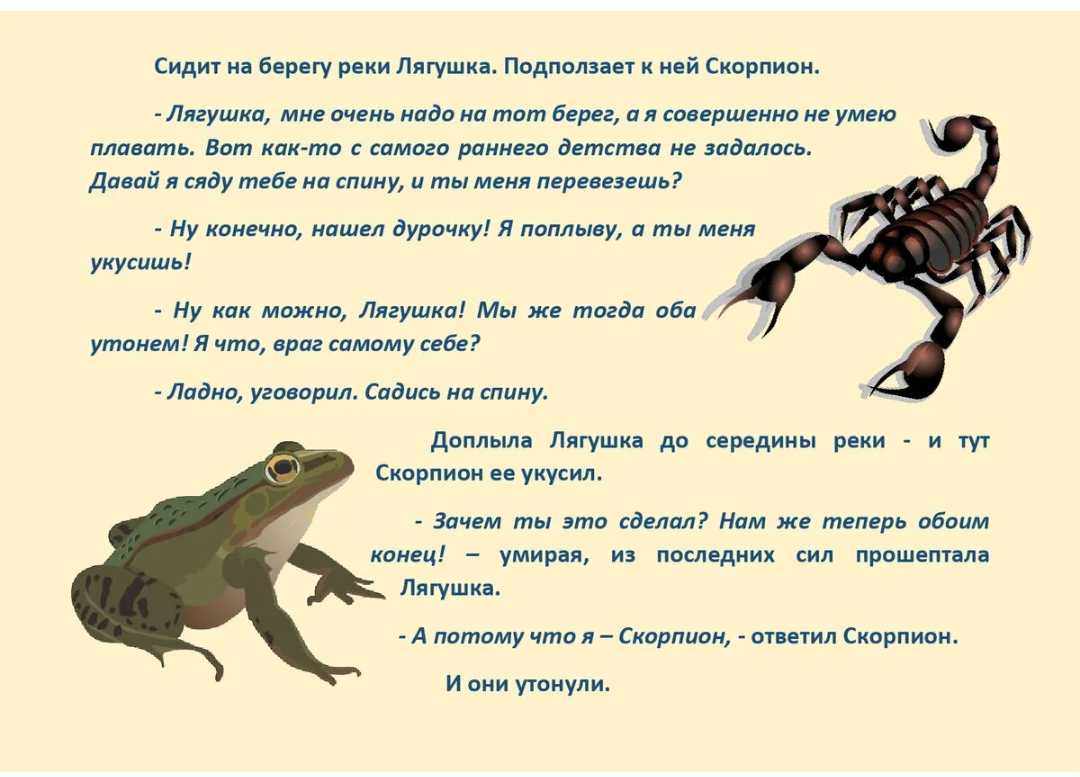 Гороскоп на ноябрь 2018 года скорпион