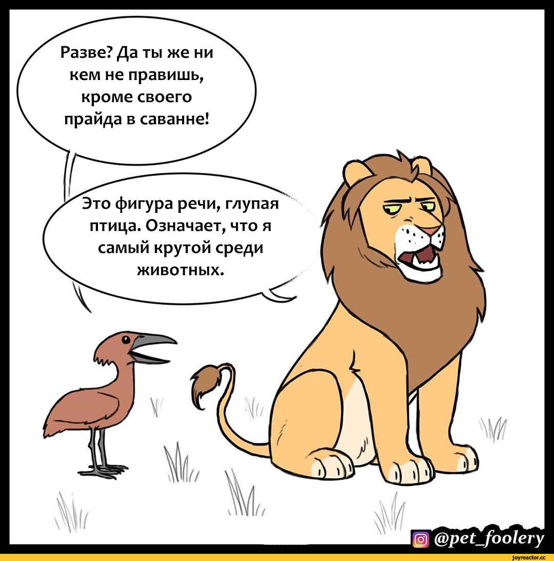 Совместимость родителей и детей по знакам зодиака. родитель лев по знакам зодиака - тайные миры