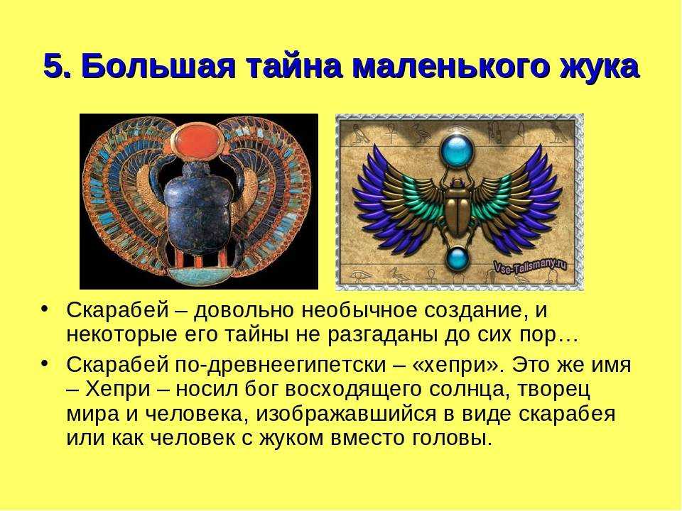 Славянский знакие зодиака — гороскоп тотемных животных