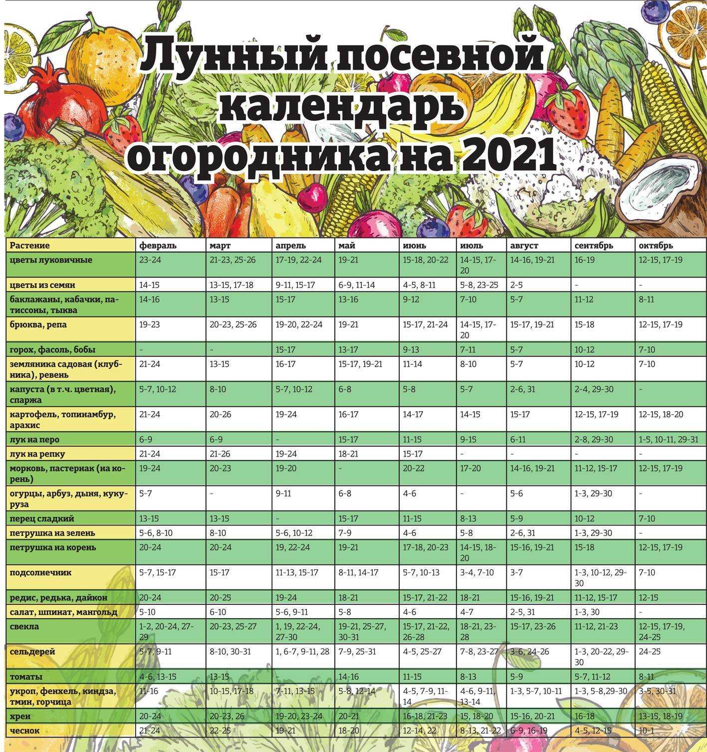 Лунный календарь путешествий: благоприятные дни для поездки
