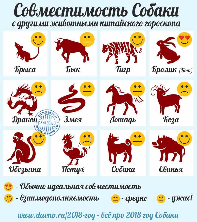 Совместимость женщины и мужчины-петухов в любви, браке, сексе: характеристика, гороскоп
