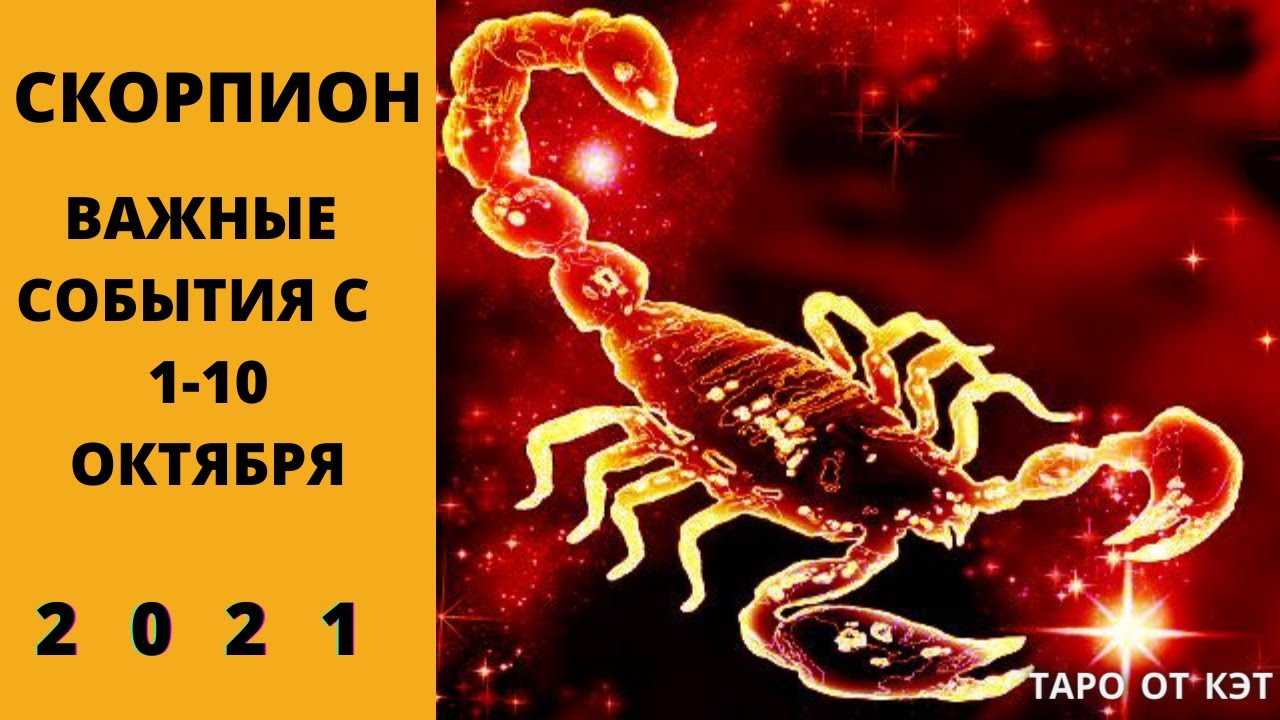 Человек-загадка: все самое главное о знаке зодиака скорпион