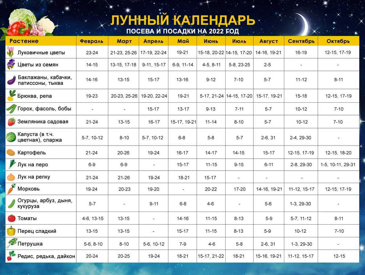 Лунный календарь здоровья на 2023 год: благоприятные и неблагоприятные лунные дни для здоровья человека в 2023 году по месяцам