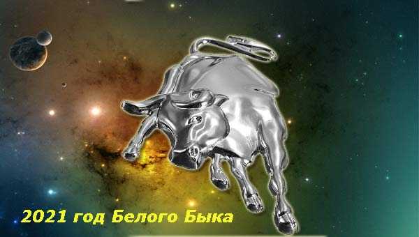 Любовный гороскоп на 2021 год белого быка для всех знаков зодиака
