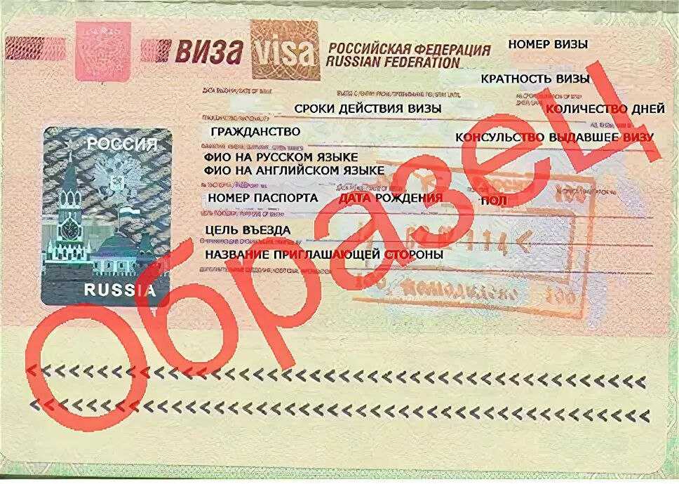 Справка с места работы для шенгенской визы — 2023: как оформить правильно? образец и советы