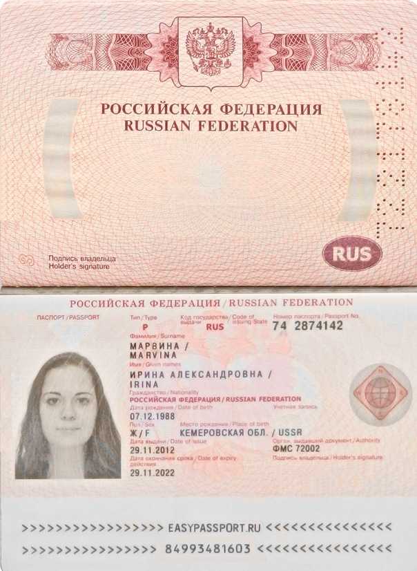 Получил гражданство рф — что дальше? – мигранту рус