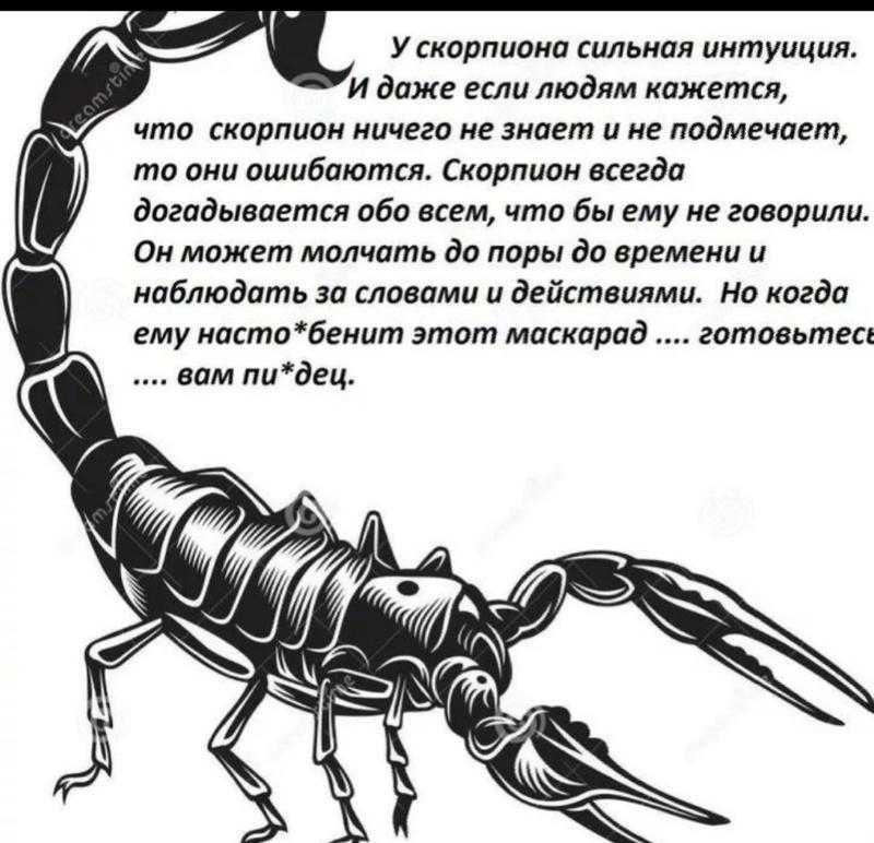 Луна в скорпионе у женщины, мужчины. люди рожденные под знаком скорпиона в натальной карте (гороскопе).