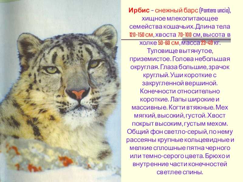Рожденный в солнечный день 25 астрология