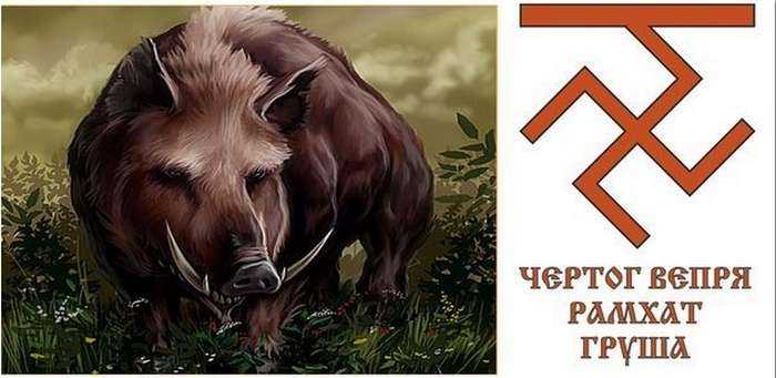 Источник : 20 солнечный день характеристика, рожденные под тотемом симбиоза вепря и собаки hafaaa