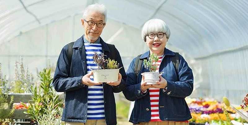 Есть ли пенсия в японии по старости