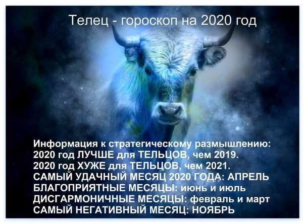Восточный гороскоп на 2021 год: коза (овца) для мужчин и женщин