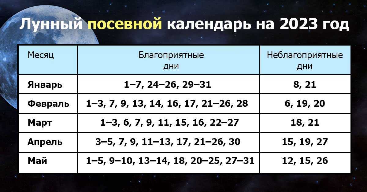 В благоприятные дни действия могут принести максимальную прибыль: денежный календарь на ноябрь 2021