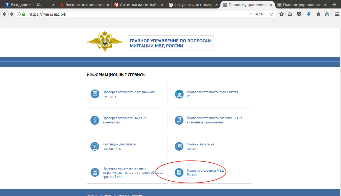 Проверка готовности загранпаспорта нового и старого образца на сайте мвд - как узнать готов ли заграничный паспорт