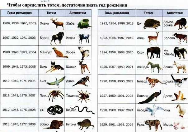 Древний тотемный гороскоп по году рождения - микс