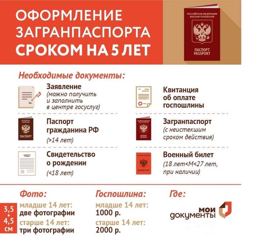 Нужно ли подавать трудовую книжку для оформления загранпаспорта