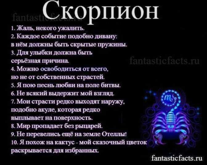 Совместимость овен — скорпион: кролик и удав