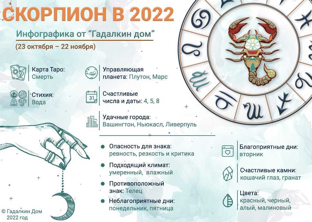 Гороскоп для скорпионов на 2019 год: любовный гороскоп для женщины-скорпион, мужчин в год свиньи