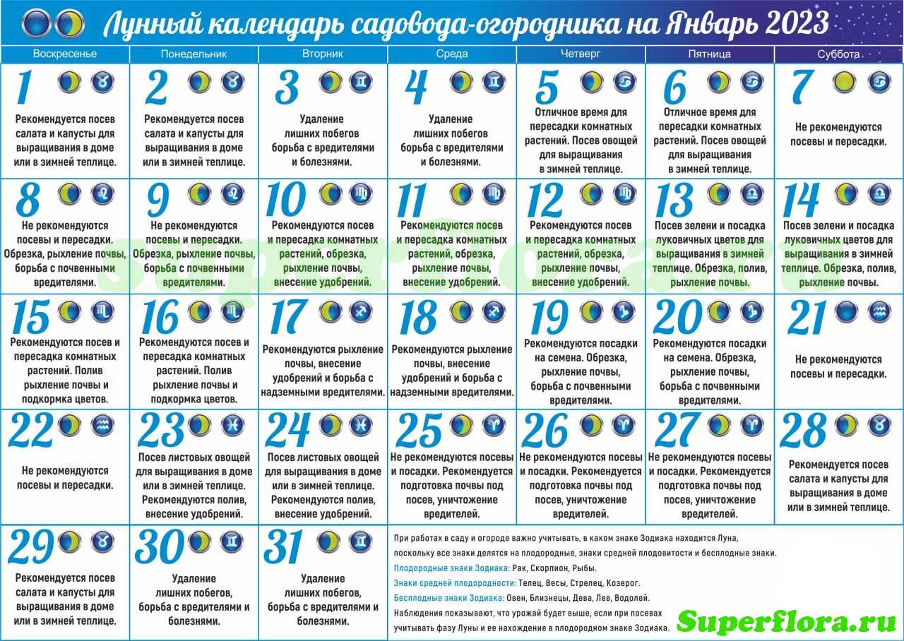 Онлайн гадания на день, неделю, месяц, год