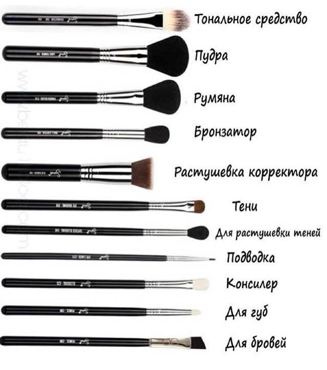 12 лучших кисточек для макияжа - рейтинг, советы по выбору