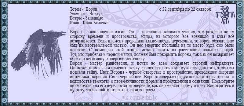 Календарные циклы 17 стр.