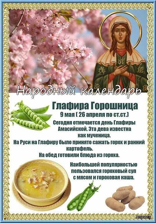 9 мая народный календарь - глафира горошница, степанов день