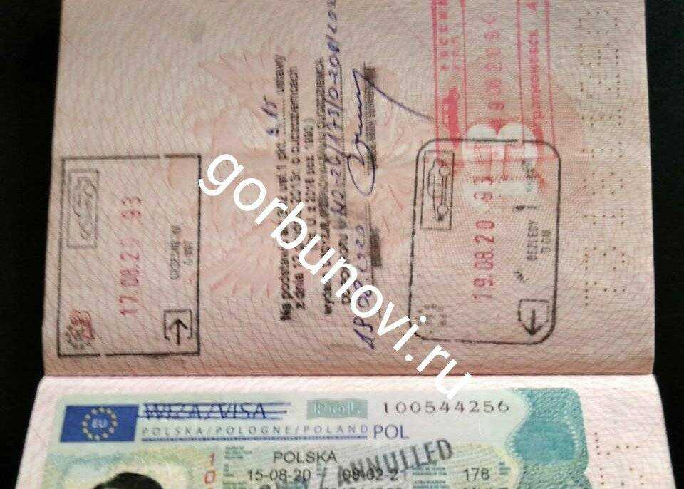 Как получить приглашение на работу в польшу бесплатно в 2024 году?
