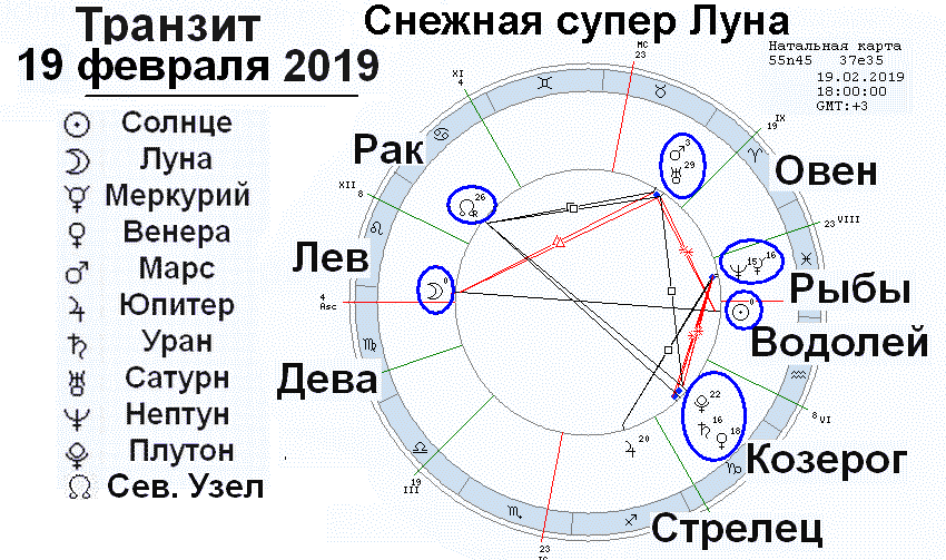 Педагогический гороскоп: типология учителей по знакам зодиака