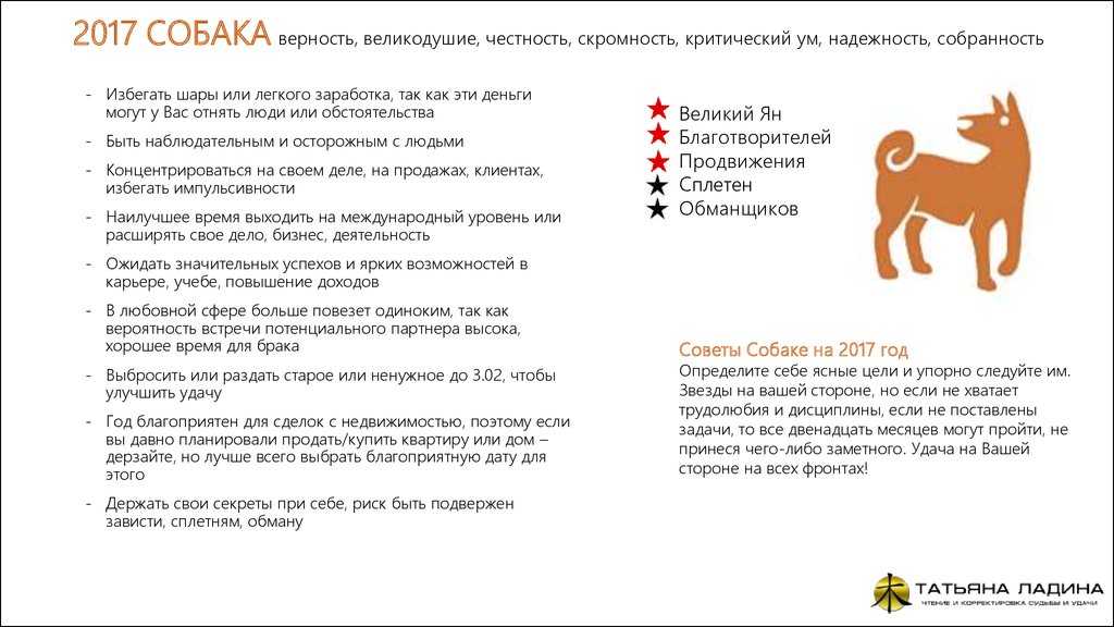 Китайский гороскоп для собаки на 2021 год — год надежды