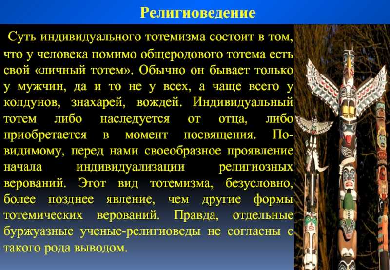 Тотем гепард, о его значении и свойствах. тотемное животное гепард