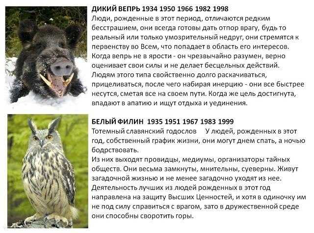 Откуда идут истоки зороастрийского гороскопа? описание зороастрийского гороскопа. зороастрийский гороскоп: что это такое и кто вы по нему тотемный гороскоп по дате