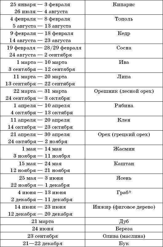 Славянский гороскоп растений в зависимости от даты рождения Узнайте кто вы:  ветви, корни, стволы или семена растений