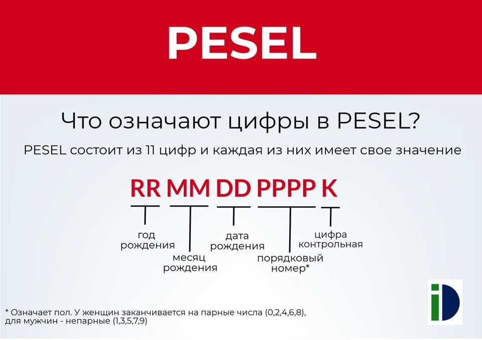 Как проверить фирму польше (польского работодателя) по krs, nip и regon