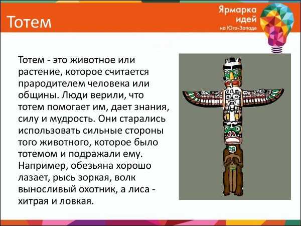 Год гепарда и болотной кошки: каким будет 2022 год по зороастрийскому гороскопу | thegirl
