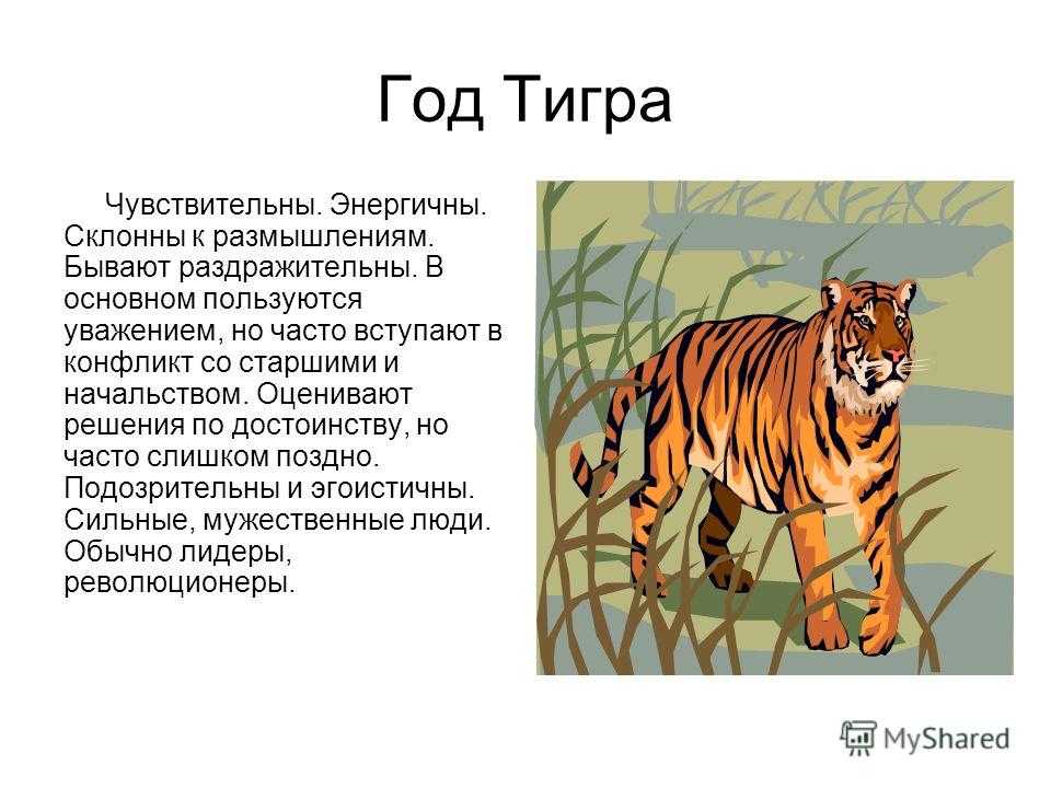 Восточный гороскоп на 2022 год для тигра мужчины