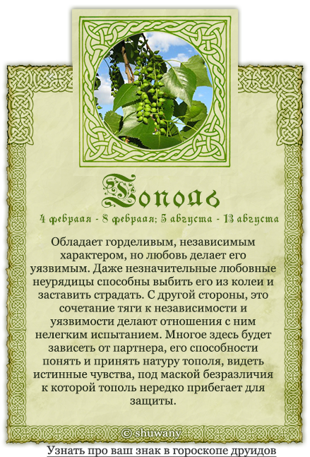 Каким был славянский гороскоп и какими животными отличается от западного