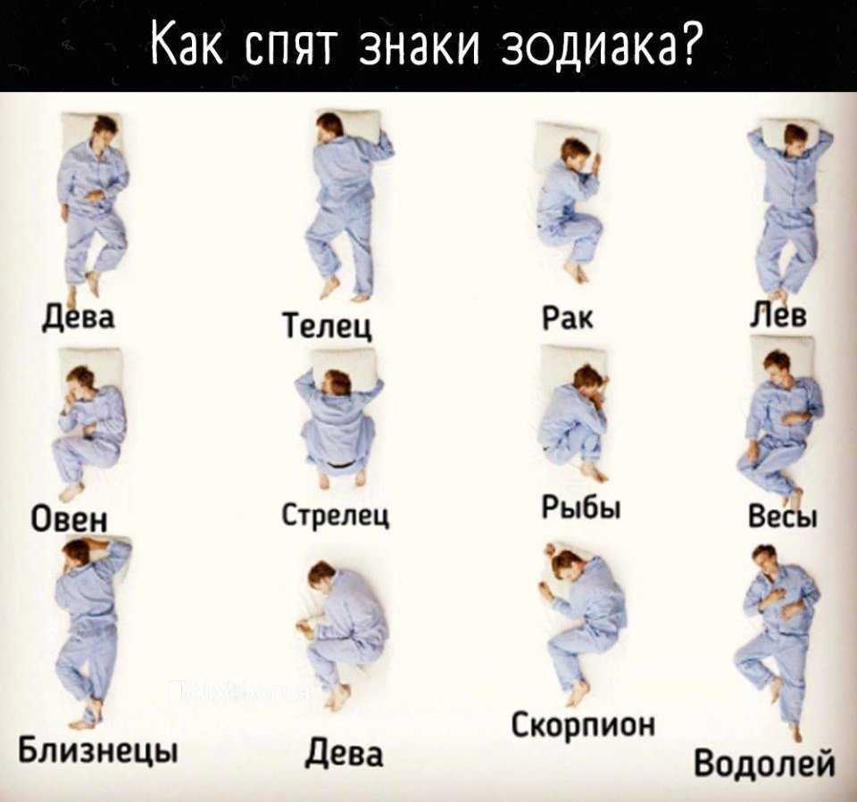 Какие студенты по знаку зодиака ни за что не будут жить в общежитии: новости, гороскоп, знаки зодиака, общежитие, студенты, гороскопы