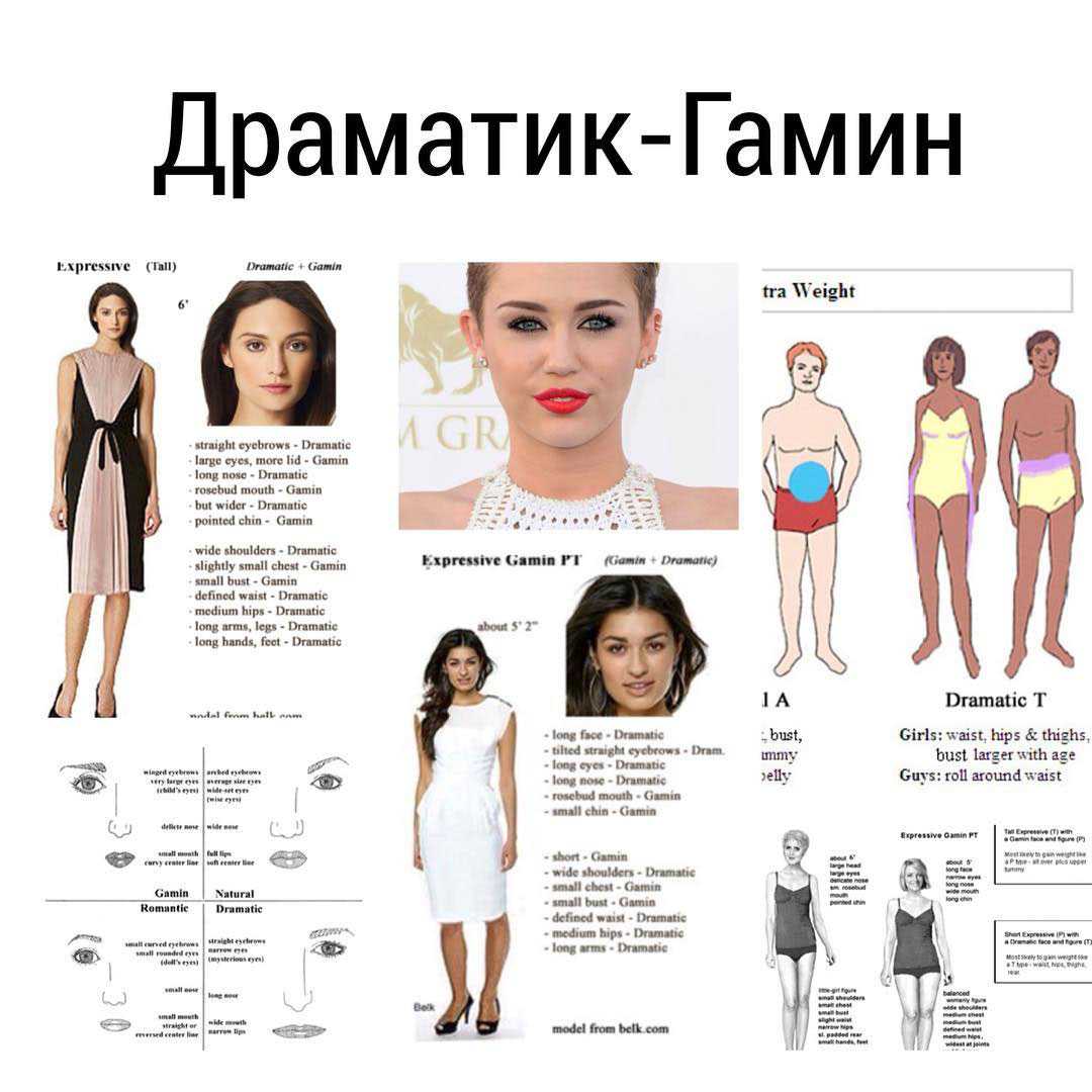 Типажи личности по кибби: как определить свой типаж