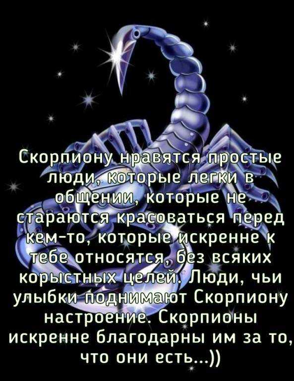 Совместимость скорпион — дева: ребенок и родитель