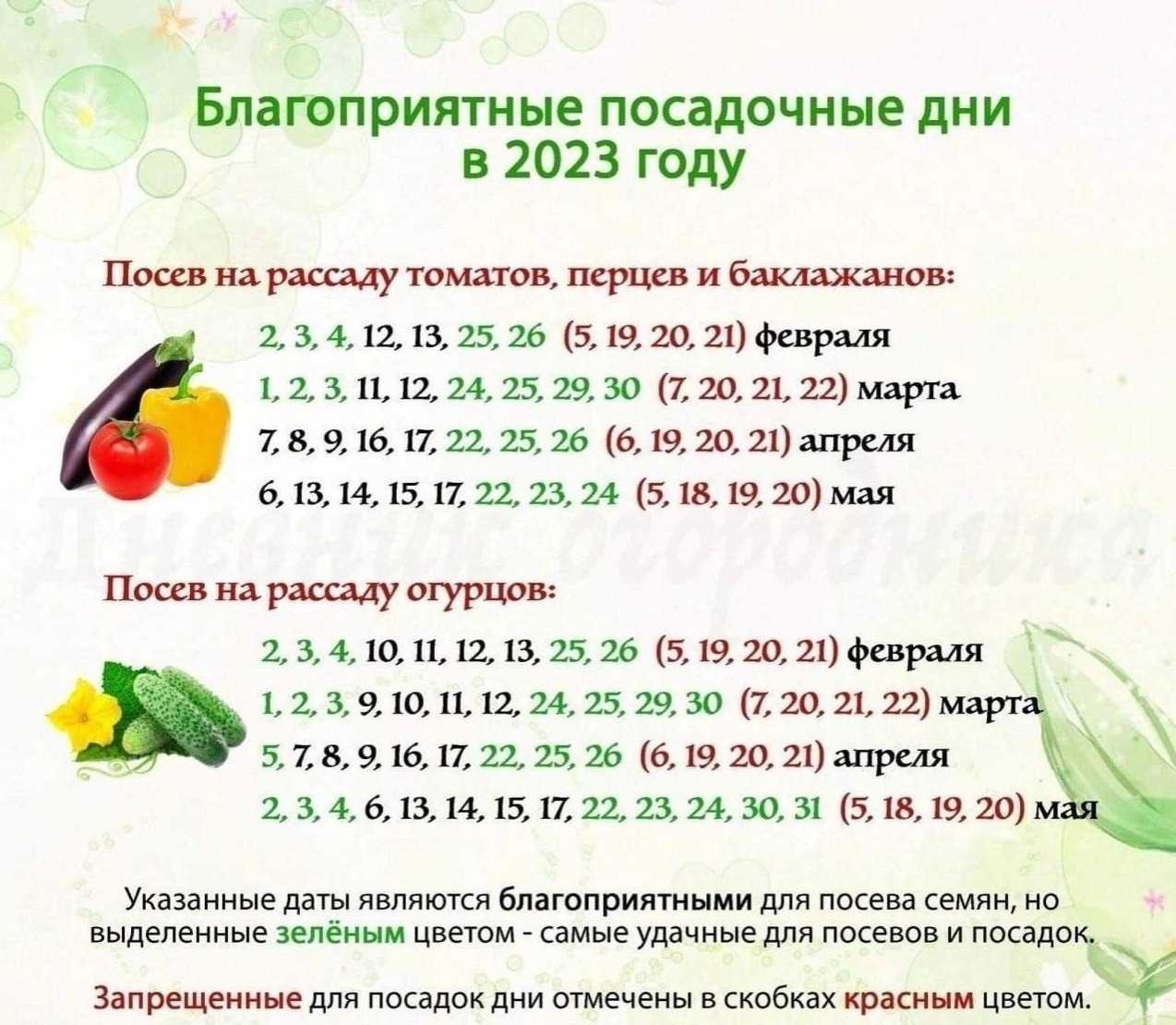 Лунный календарь стрижки волос — какие лунные дни наиболее благоприятны, чтобы стричься