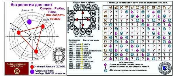 Совместимость рак — рыбы: родитель и ребенок