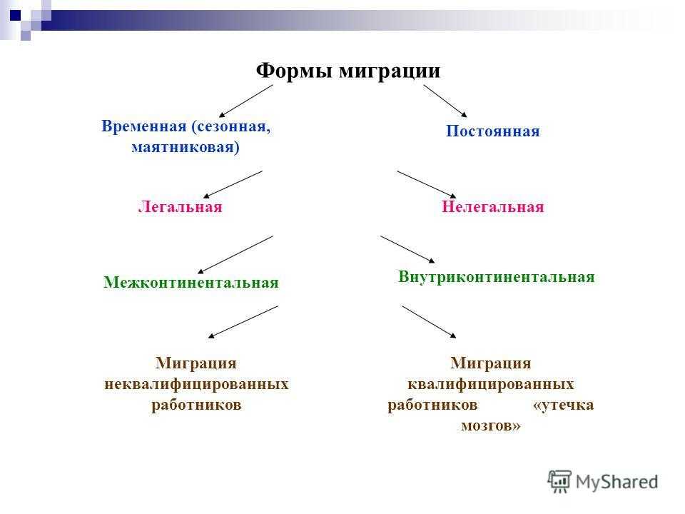 Нелегальная миграция: проблемы и причины в россии, статистика и факторы