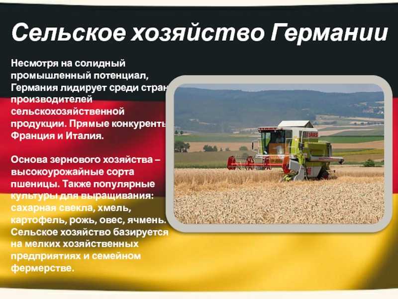 Презентация на тему: "промышленность германии. в структуре промышленности страны очень высока доля обрабатывающей промышленности (доля добывающей промышленности в западных.". скачать бесплатно и без регистрации.