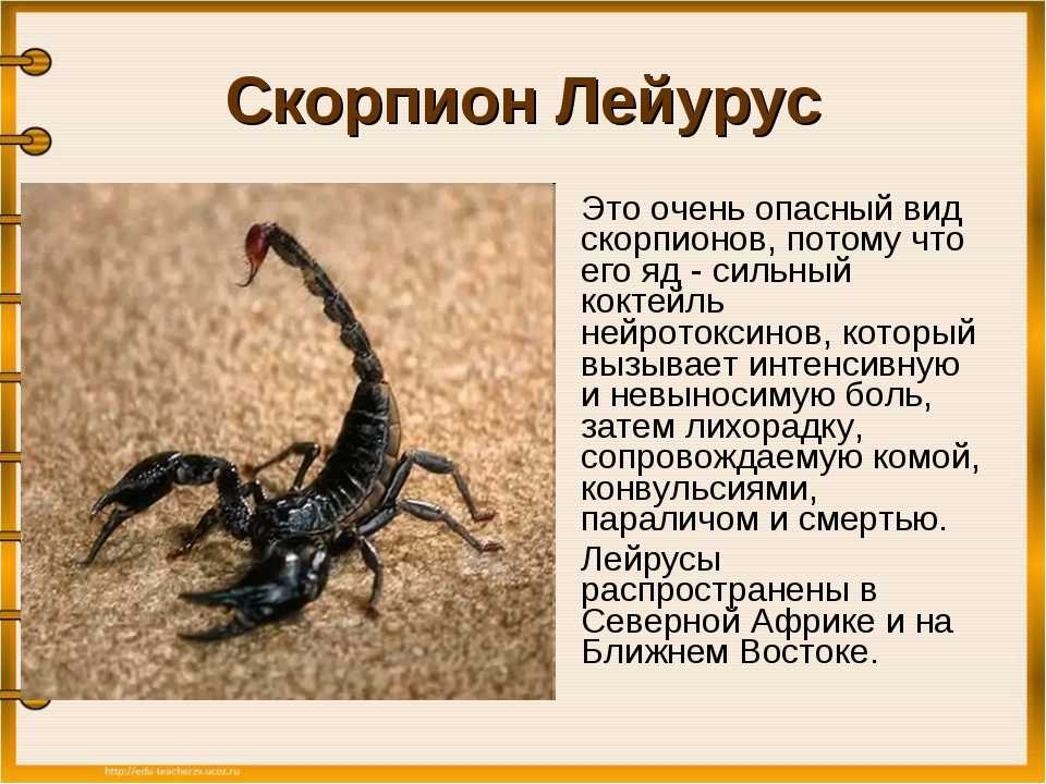 Совместимость детей и родителей по гороскопу - городбрянск.ru